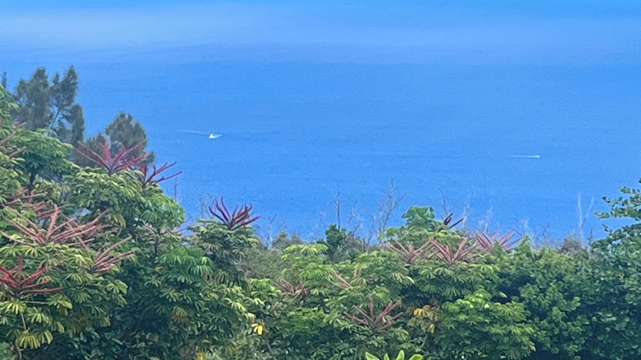Photo of Others in Opihihale