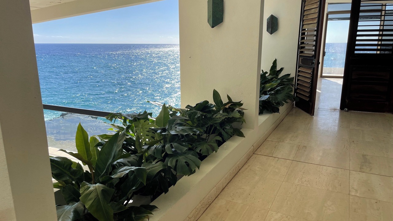 Photo of Others in Honolulu