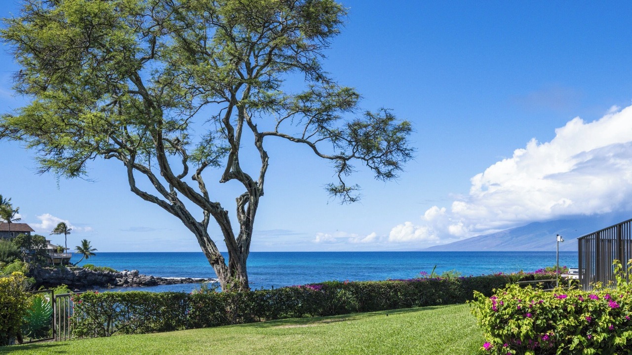 Photo of Others in Napili