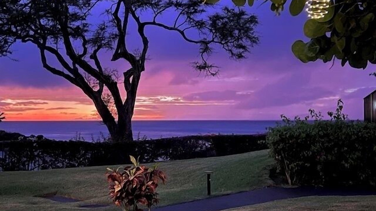 Photo of Others in Napili
