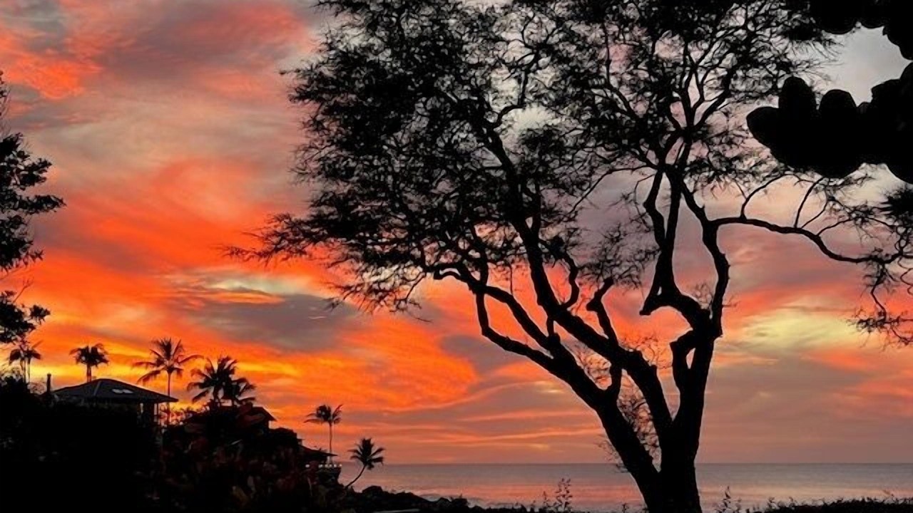 Photo of Others in Napili