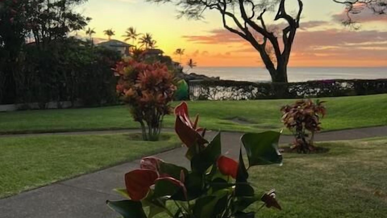 Photo of Others in Napili