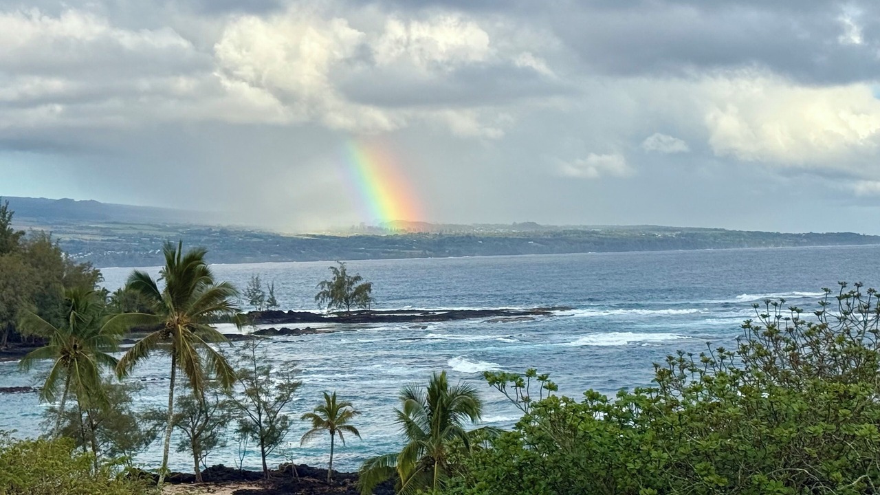 Photo of Others in Hilo