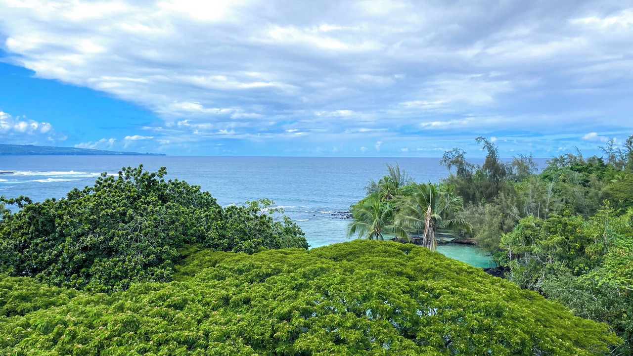 Photo of Others in Hilo