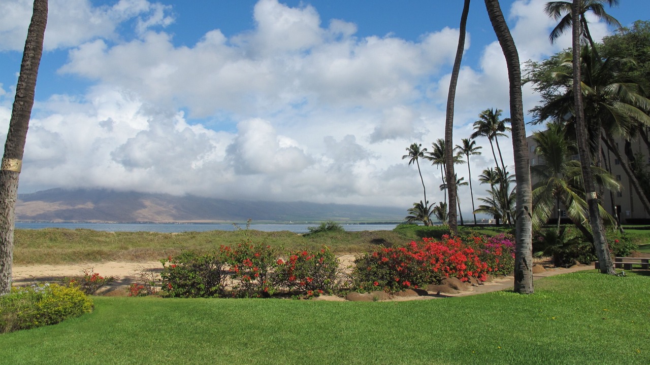 Photo of Others in Kihei