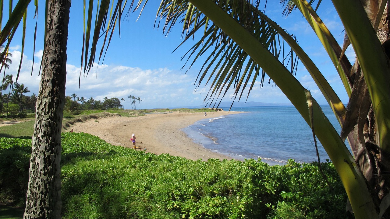 Photo of Others in Kihei