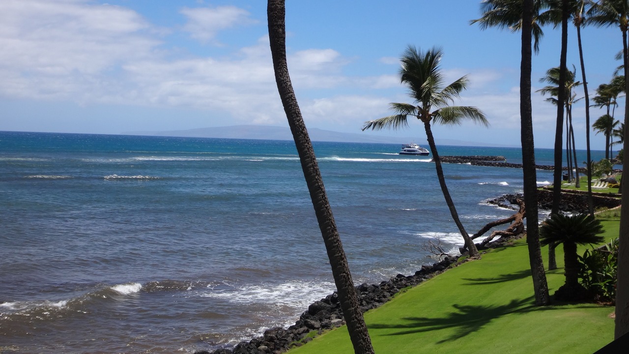Photo of Others in Maalaea