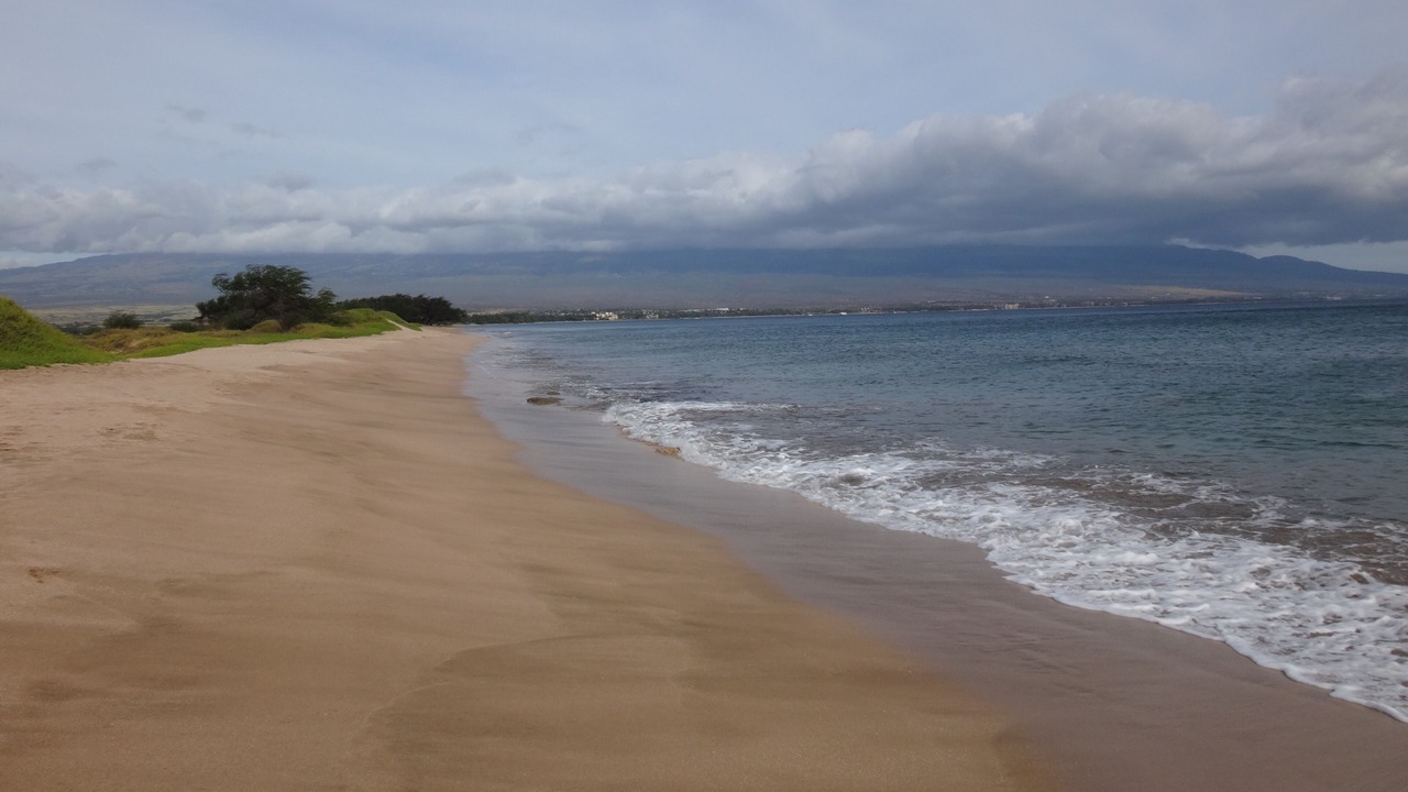 Photo of Others in Maalaea