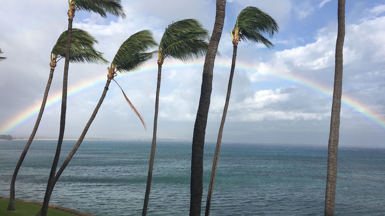 Photo of Others in Maalaea