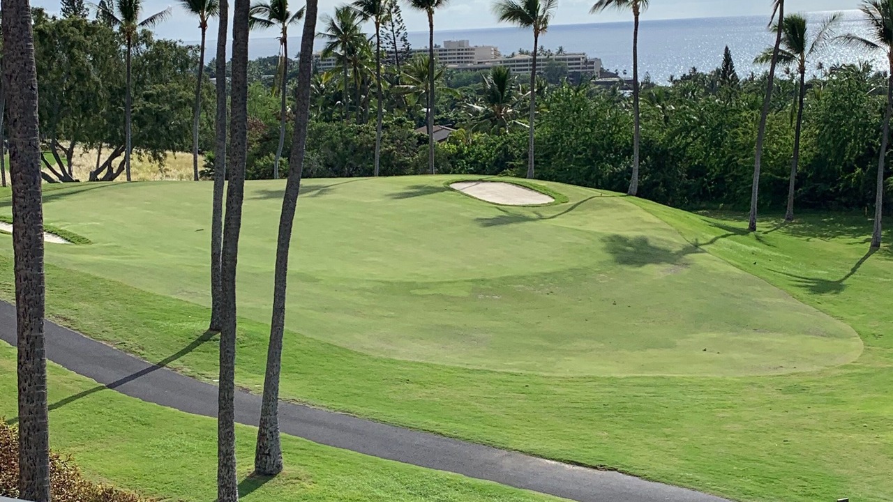 Photo of Others in Keauhou