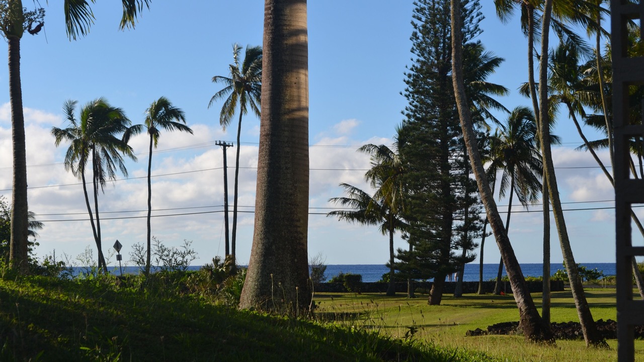 Photo of Others in Poipu