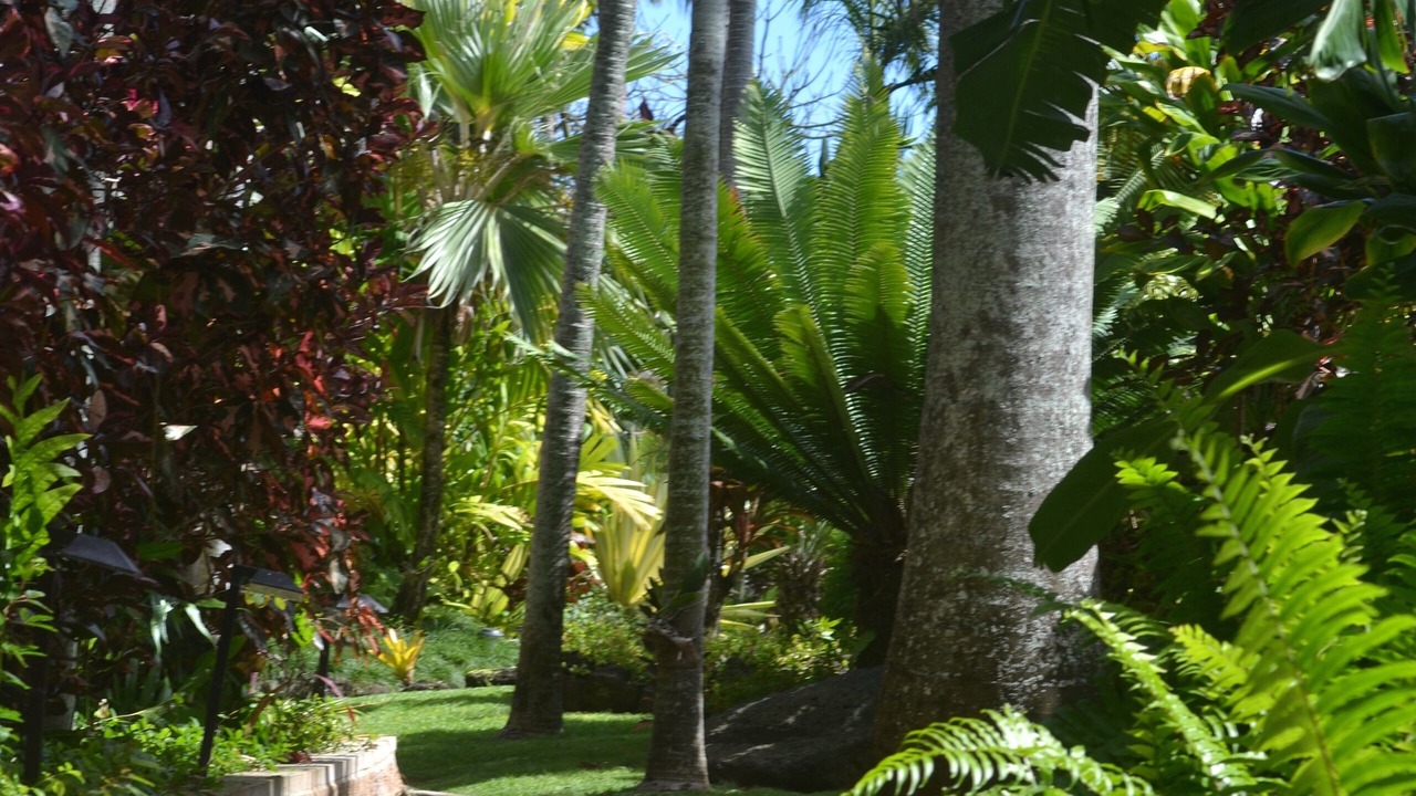 Photo of Outdoor in Poipu