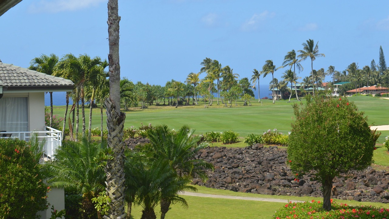 Photo of Others in Princeville