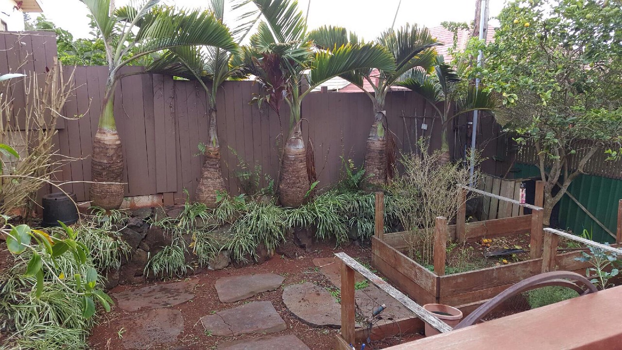 Photo of Outdoor in Lanai City