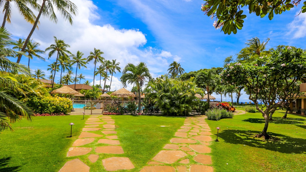 Photo of Others in Kaanapali