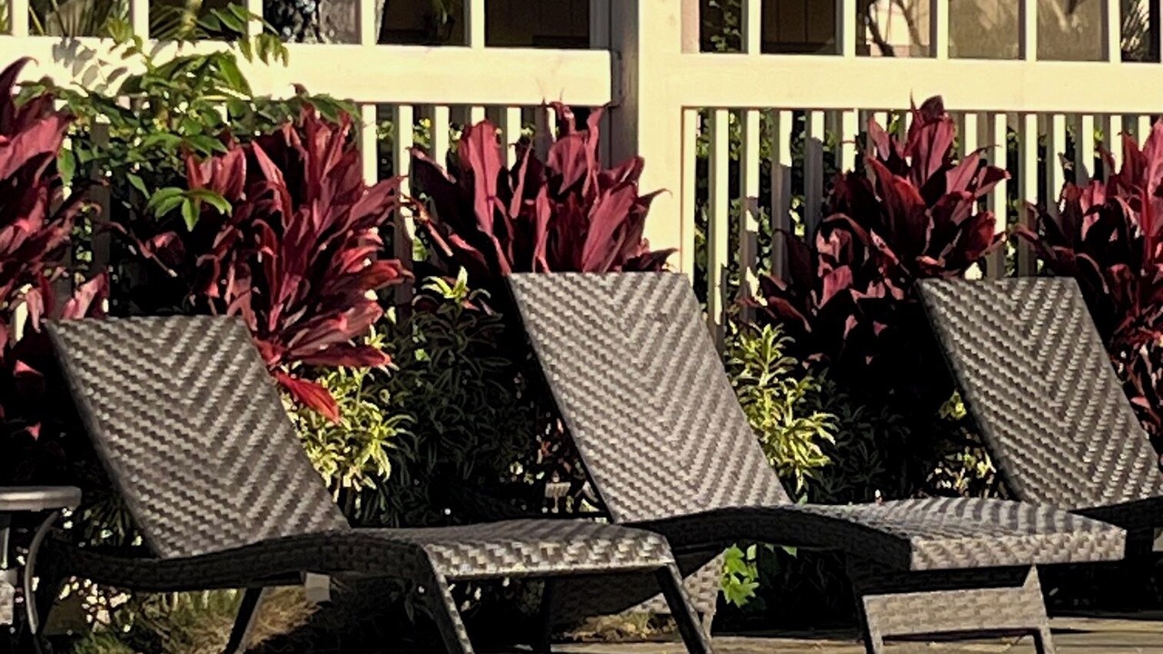 Photo of Outdoor in Princeville