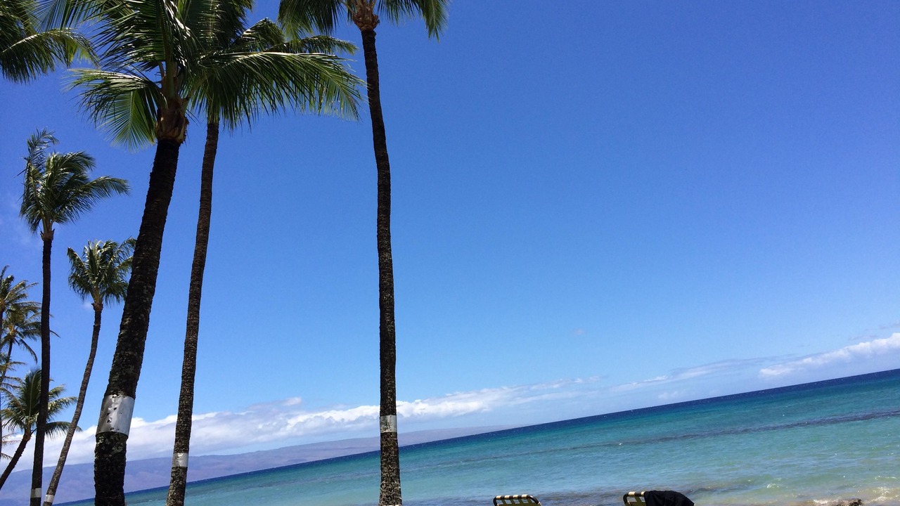 Photo of Others in Honokowai