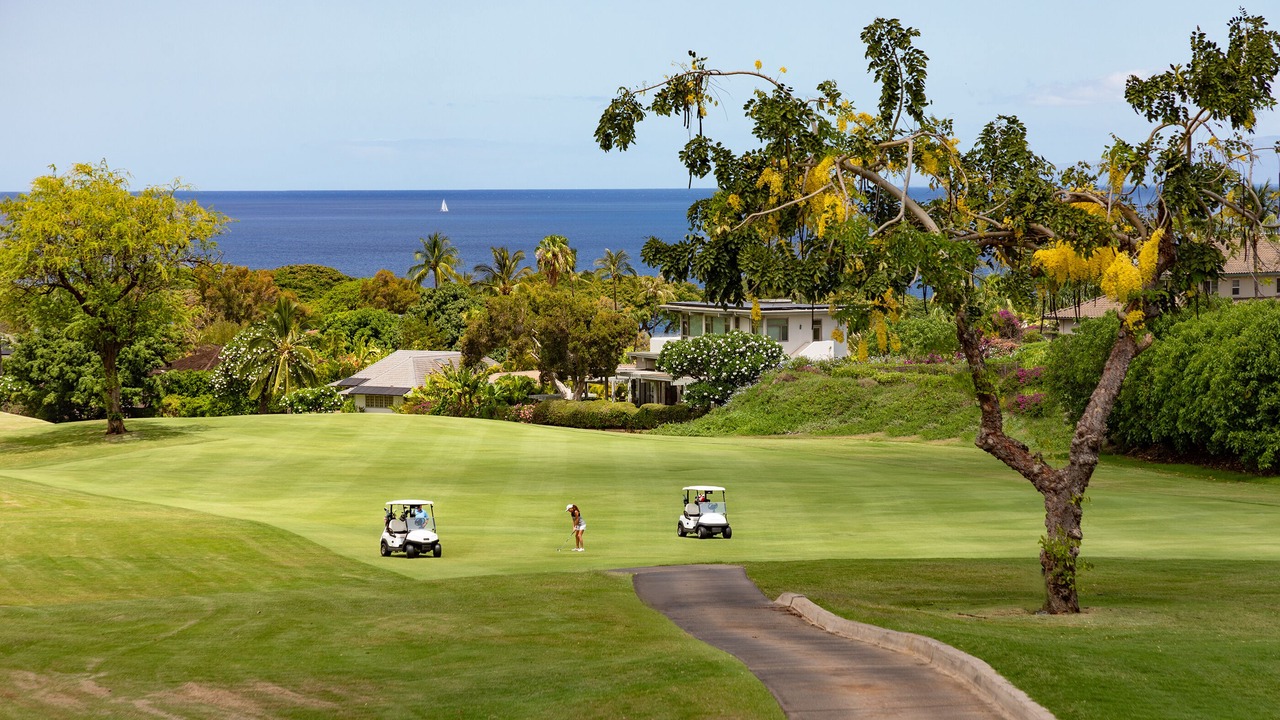 Photo of Others in Wailea