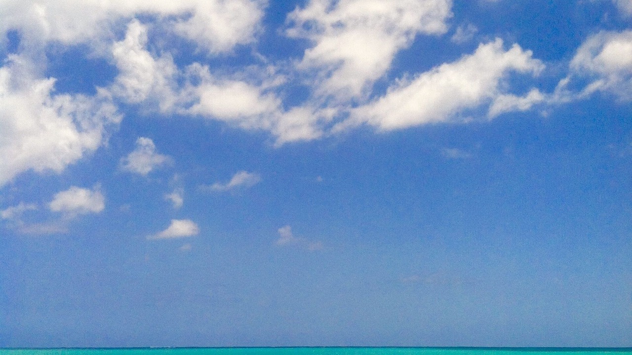 Photo of Others in Hawaii Kai