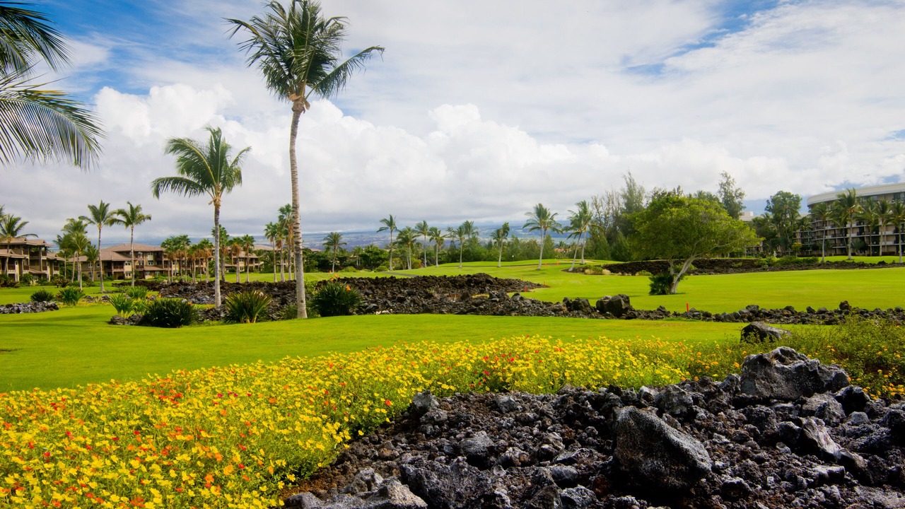 Photo of Others in Waikoloa