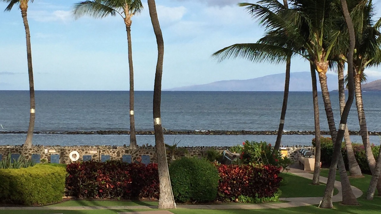 Photo of Others in Kihei