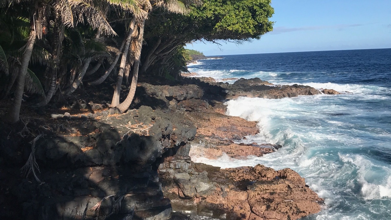 Photo of Others in Pahoa
