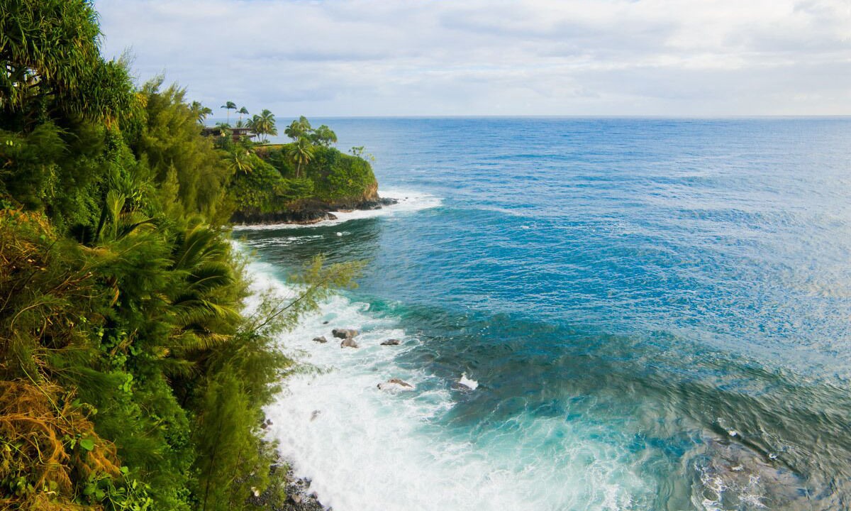 Photo of Others in Hilo