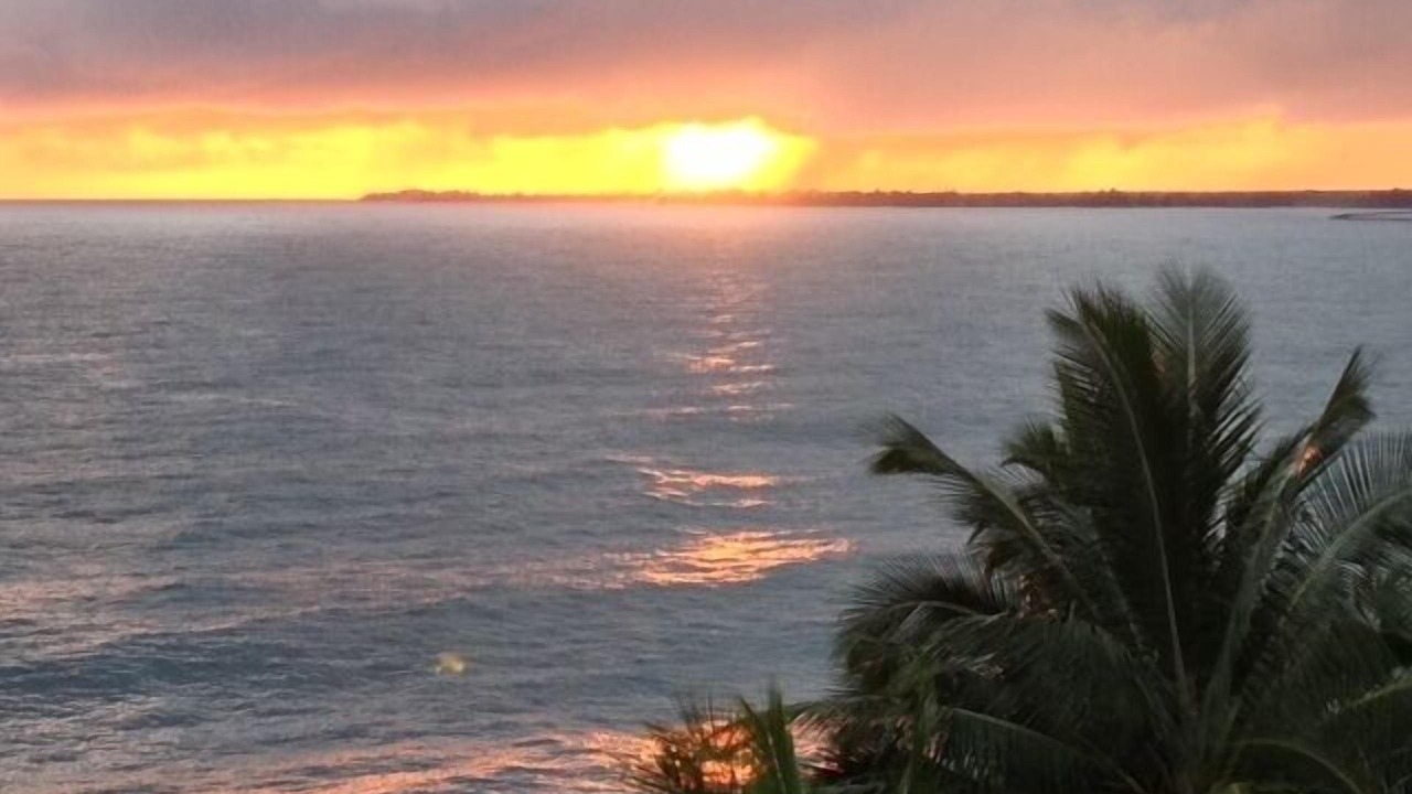 Photo of Others in Hilo