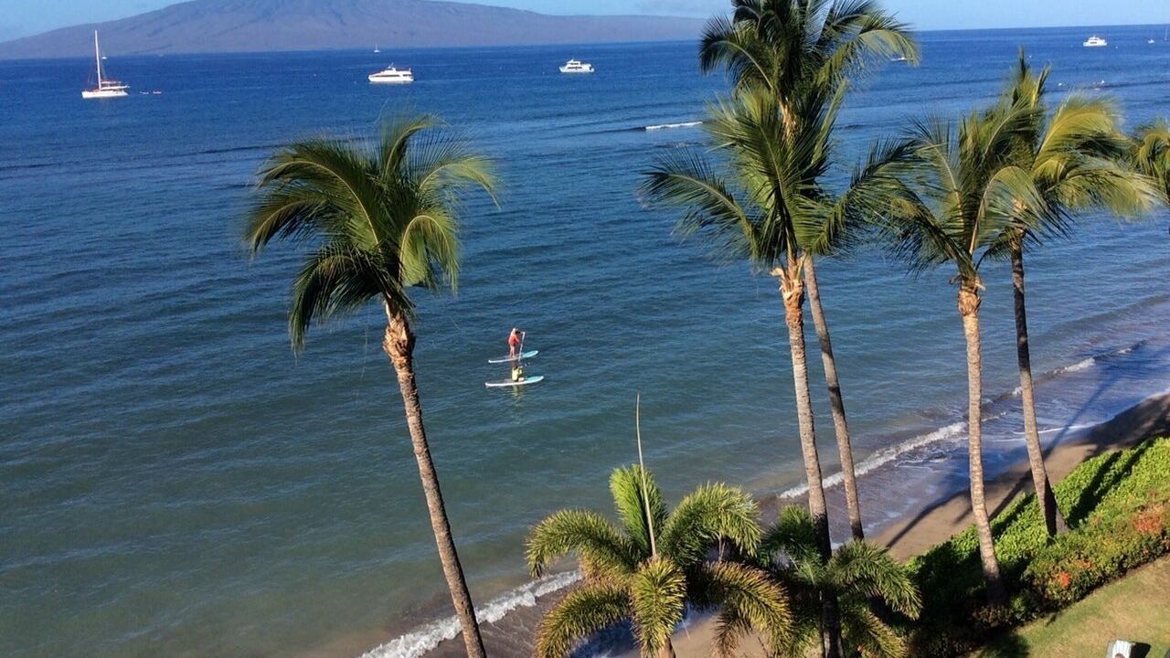 Photo of Others in Historic Lahaina Front Street