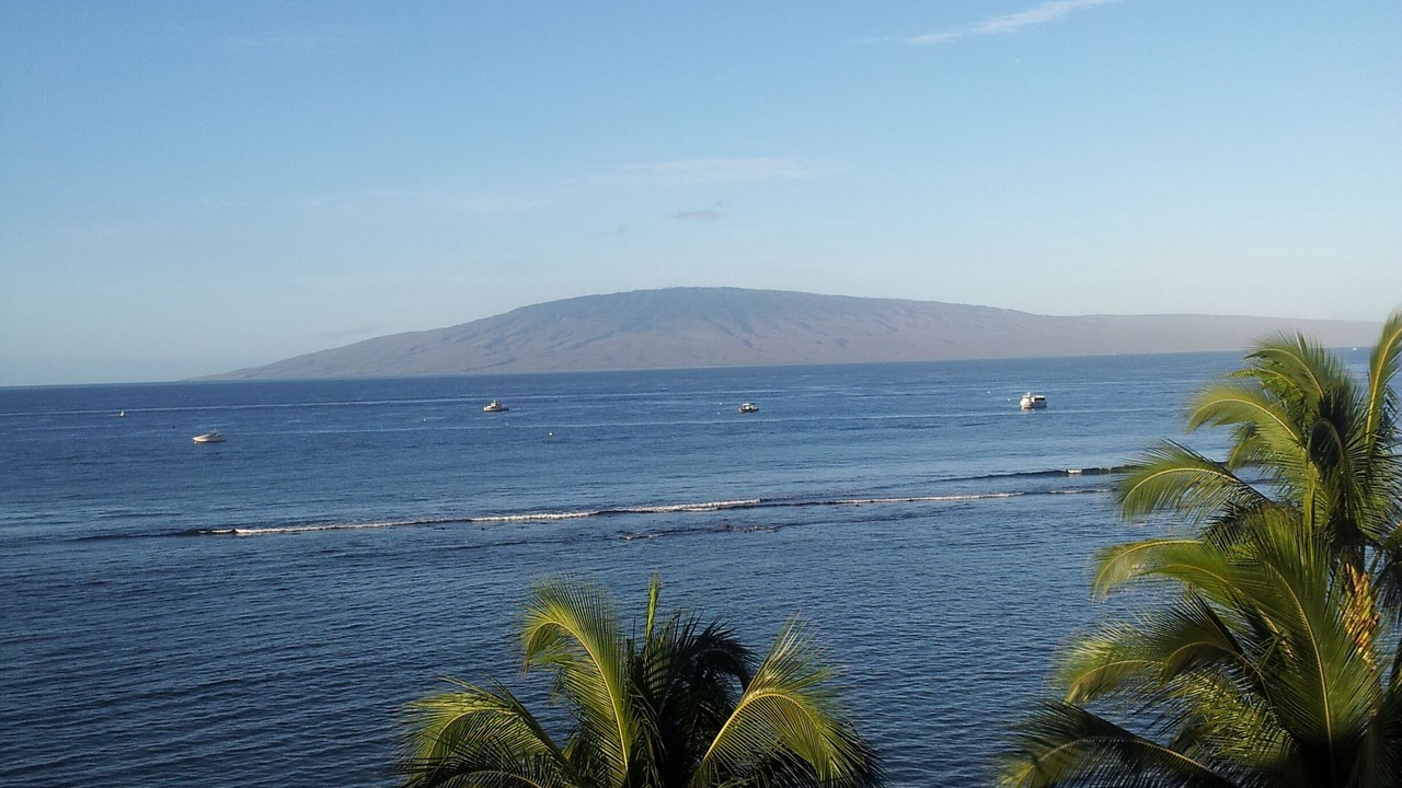 Photo of Others in Historic Lahaina Front Street