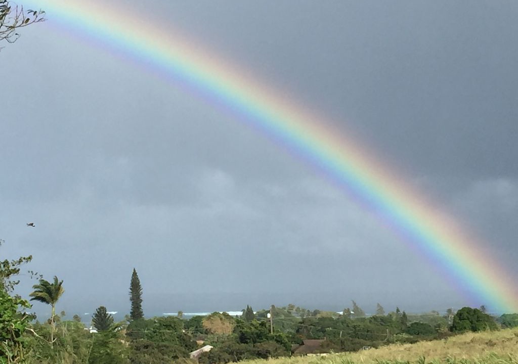 Photo of Others in Paia