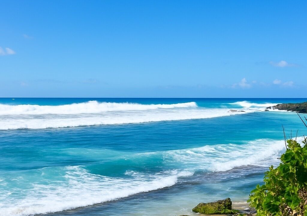 Photo of Others in Paia