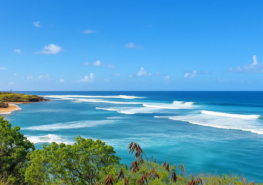 Photo of Others in Paia