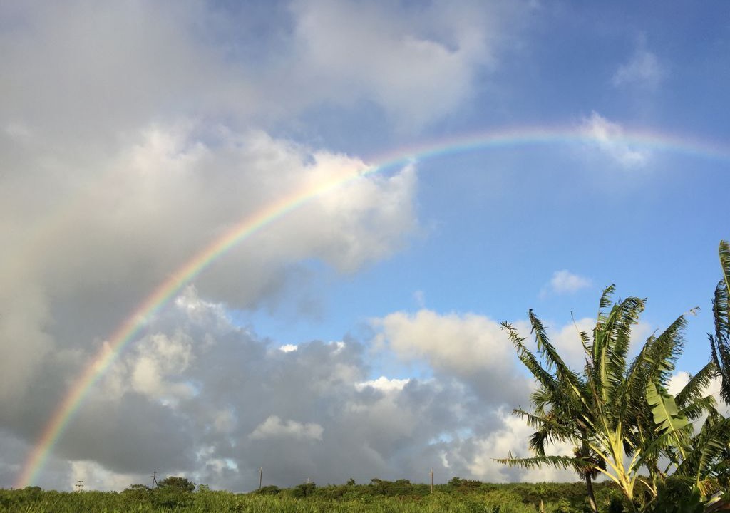 Photo of Outdoor in Paia