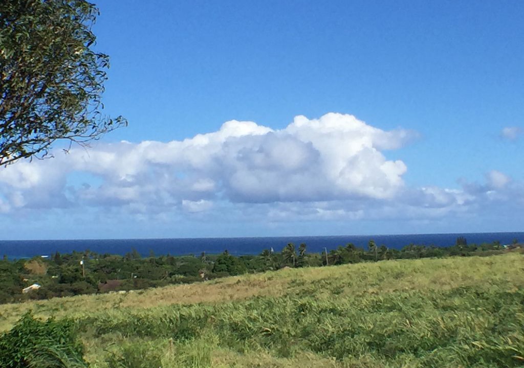 Photo of Others in Paia