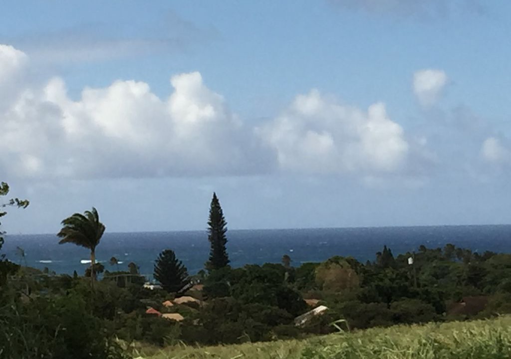 Photo of Others in Paia