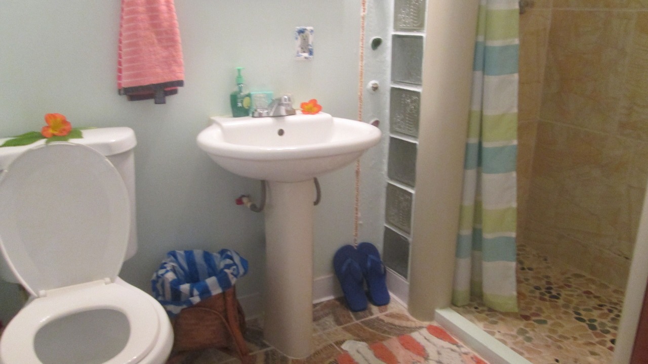 Photo of Bathroom in Keaau
