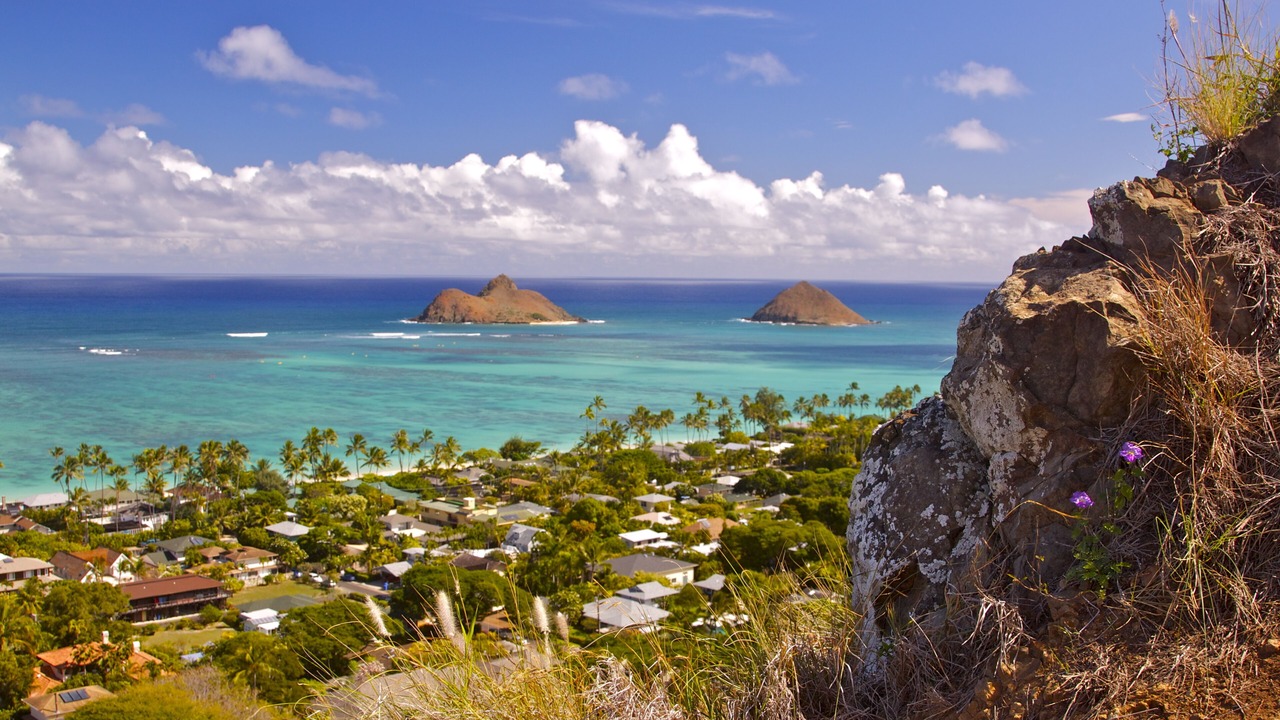 Photo of Others in Kailua