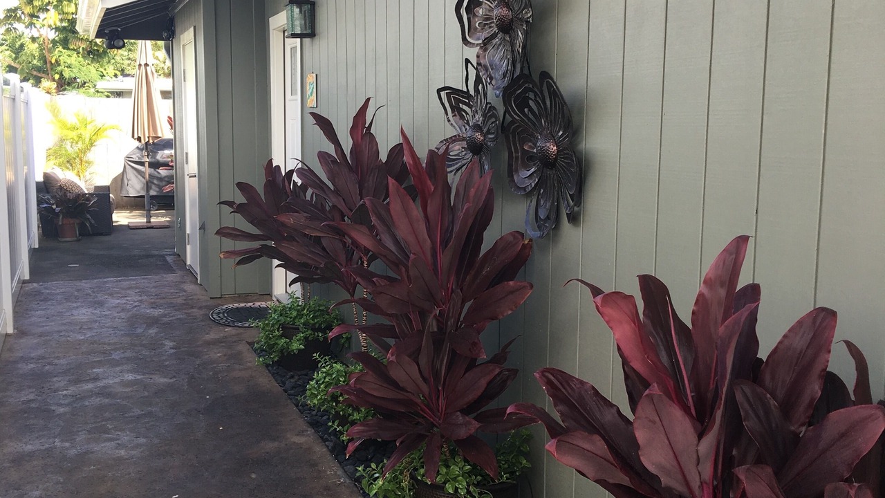 Photo of Outdoor in Kailua