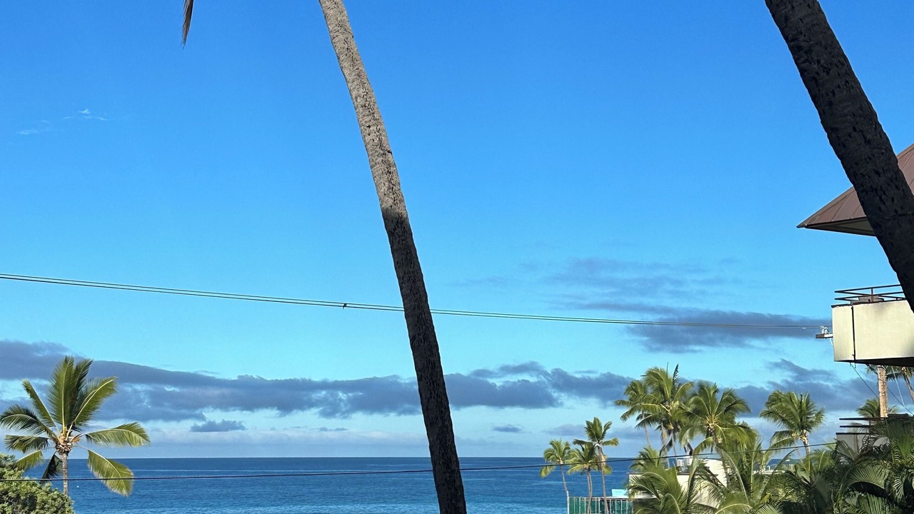 Photo of Others in Kahaluu Bay