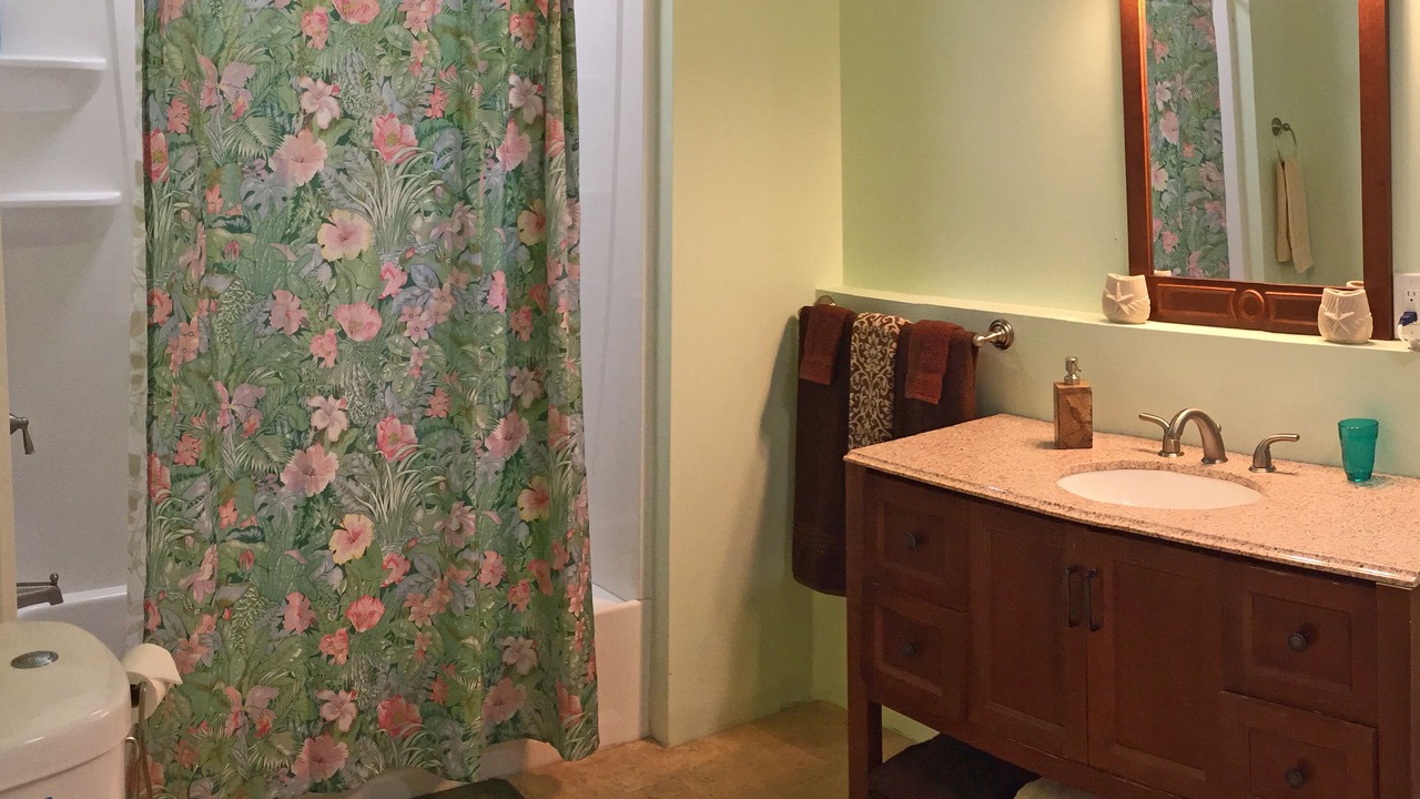 Photo of Bathroom in Hilo