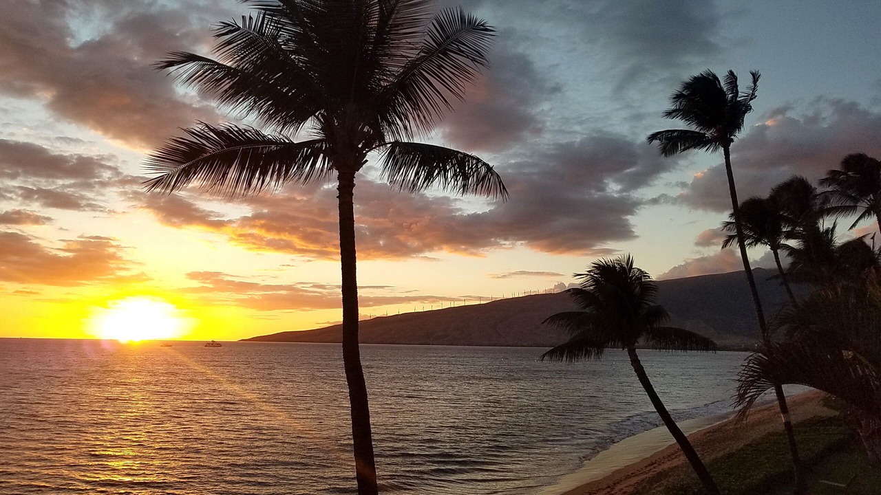Photo of Others in Kihei