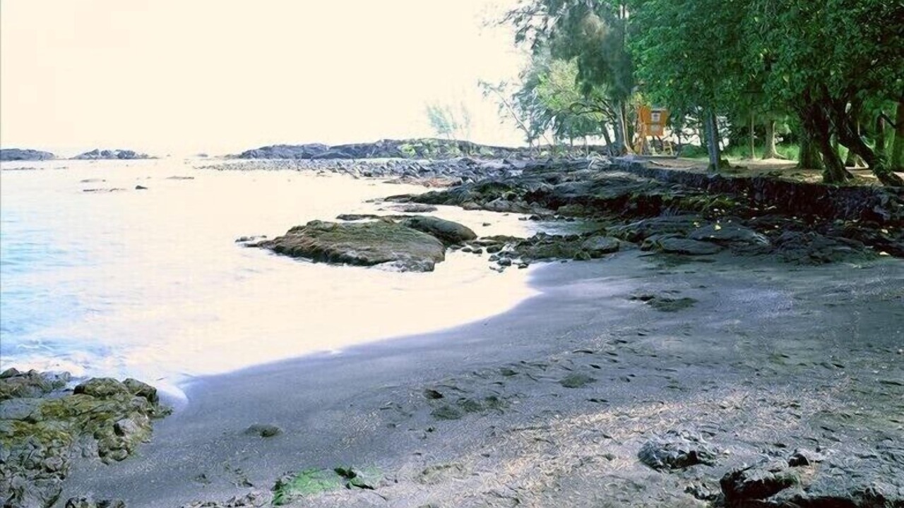 Photo of Others in Hilo