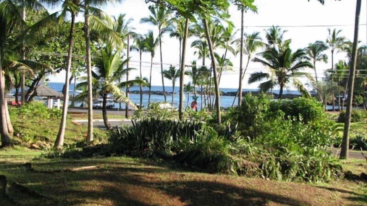Photo of Bedroom in Hilo