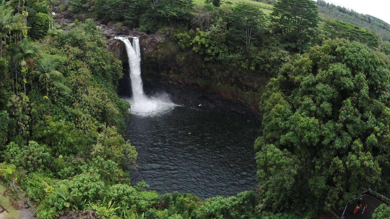 Photo of Outdoor in Hilo