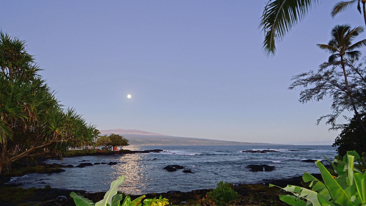 Photo of Others in Hilo