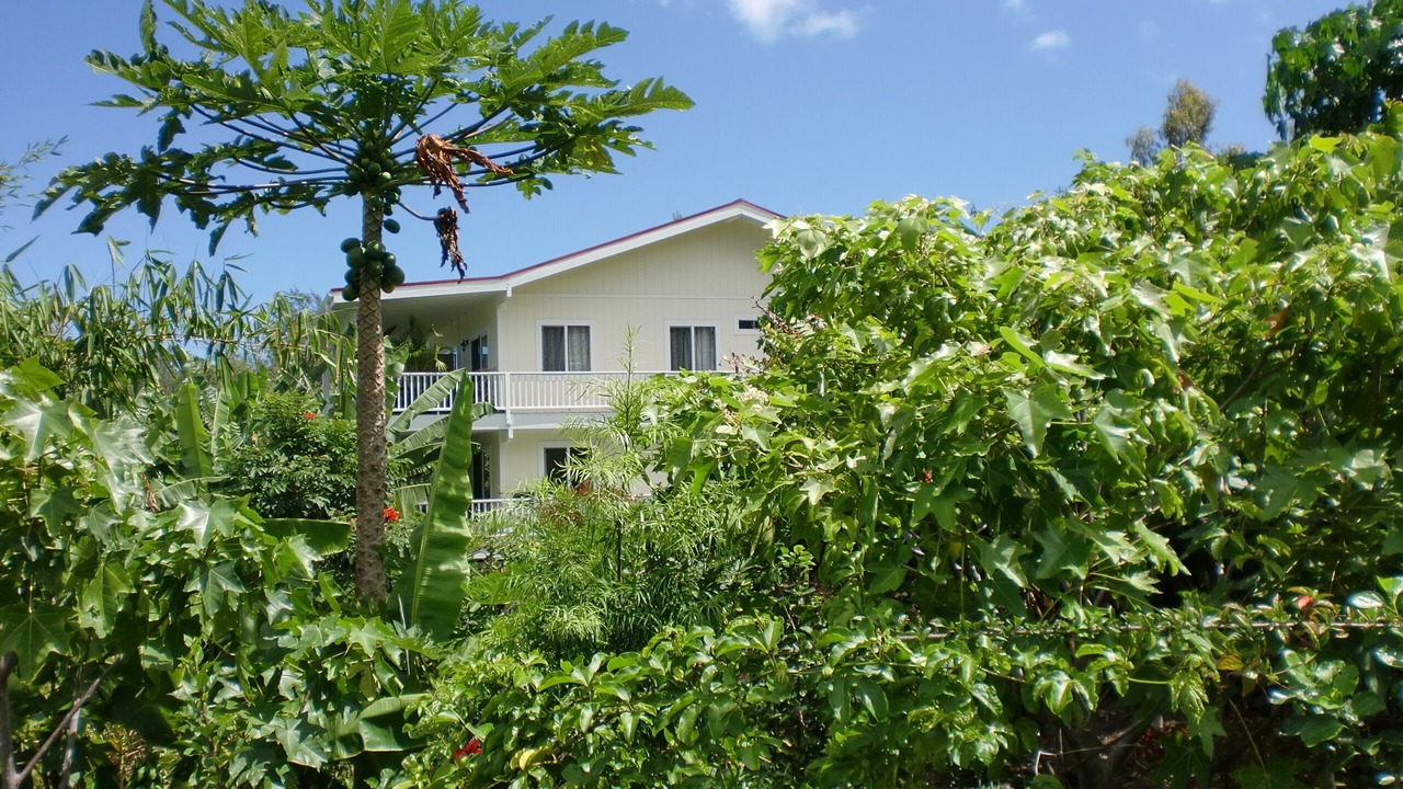Photo of Outdoor in Kalaoa