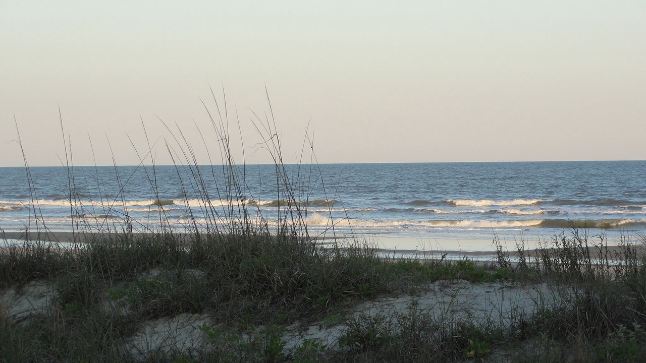 Photo of Others in West Beach Village