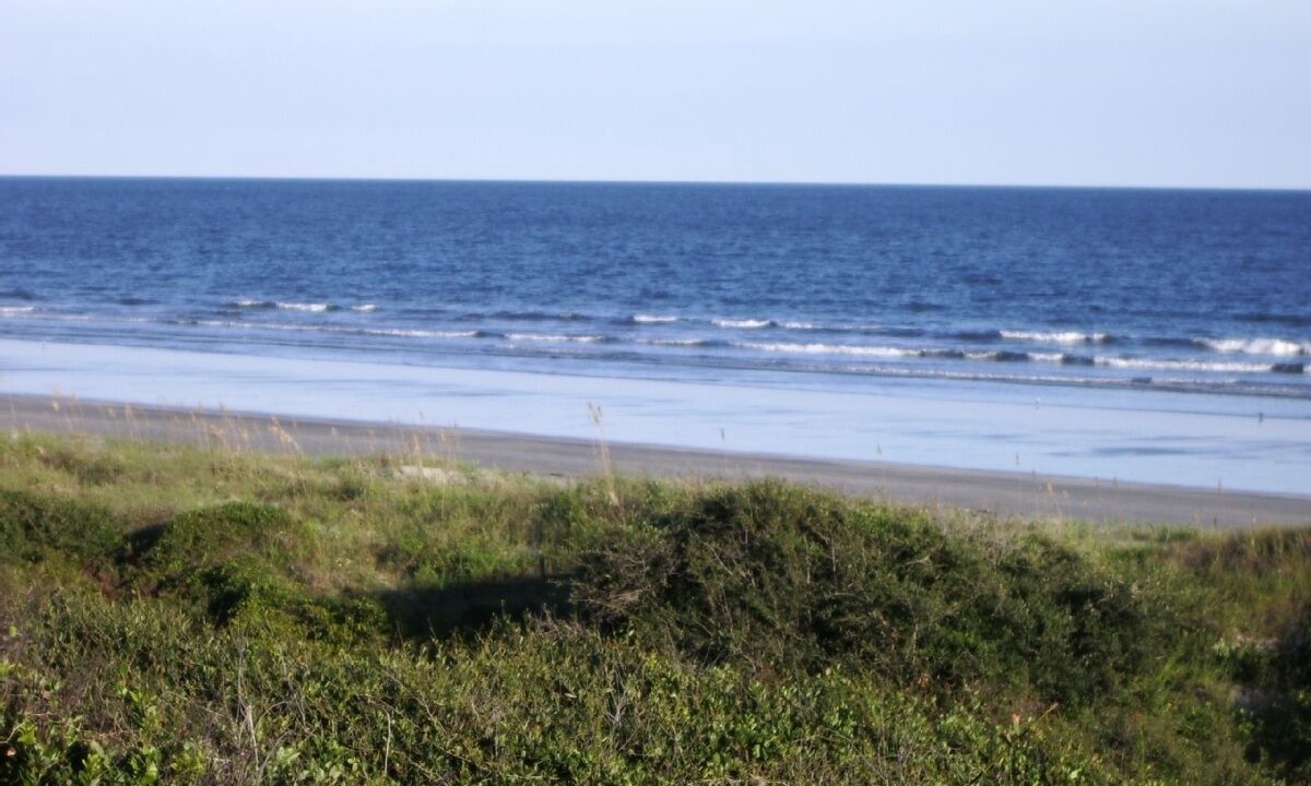 Photo of Others in West Beach Village