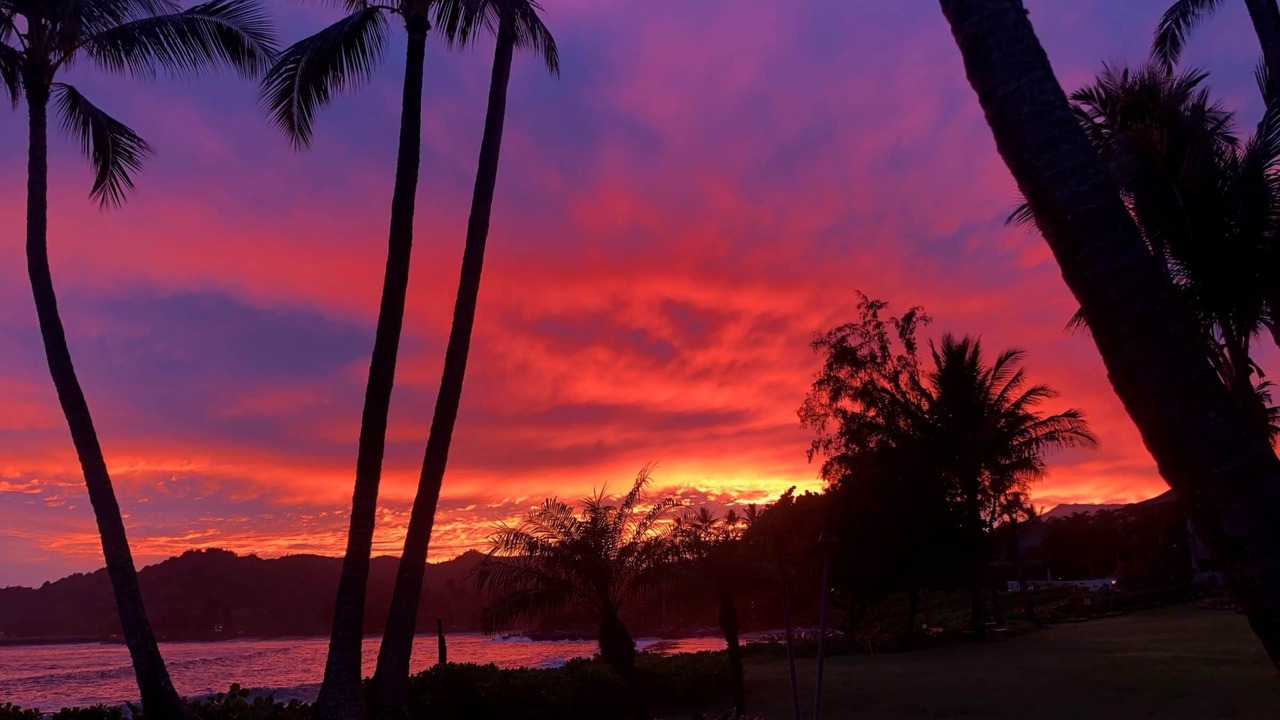 Photo of Others in Wailua